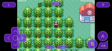 Walk Through Walls Cheat game shark code for Pokemon Ruby.